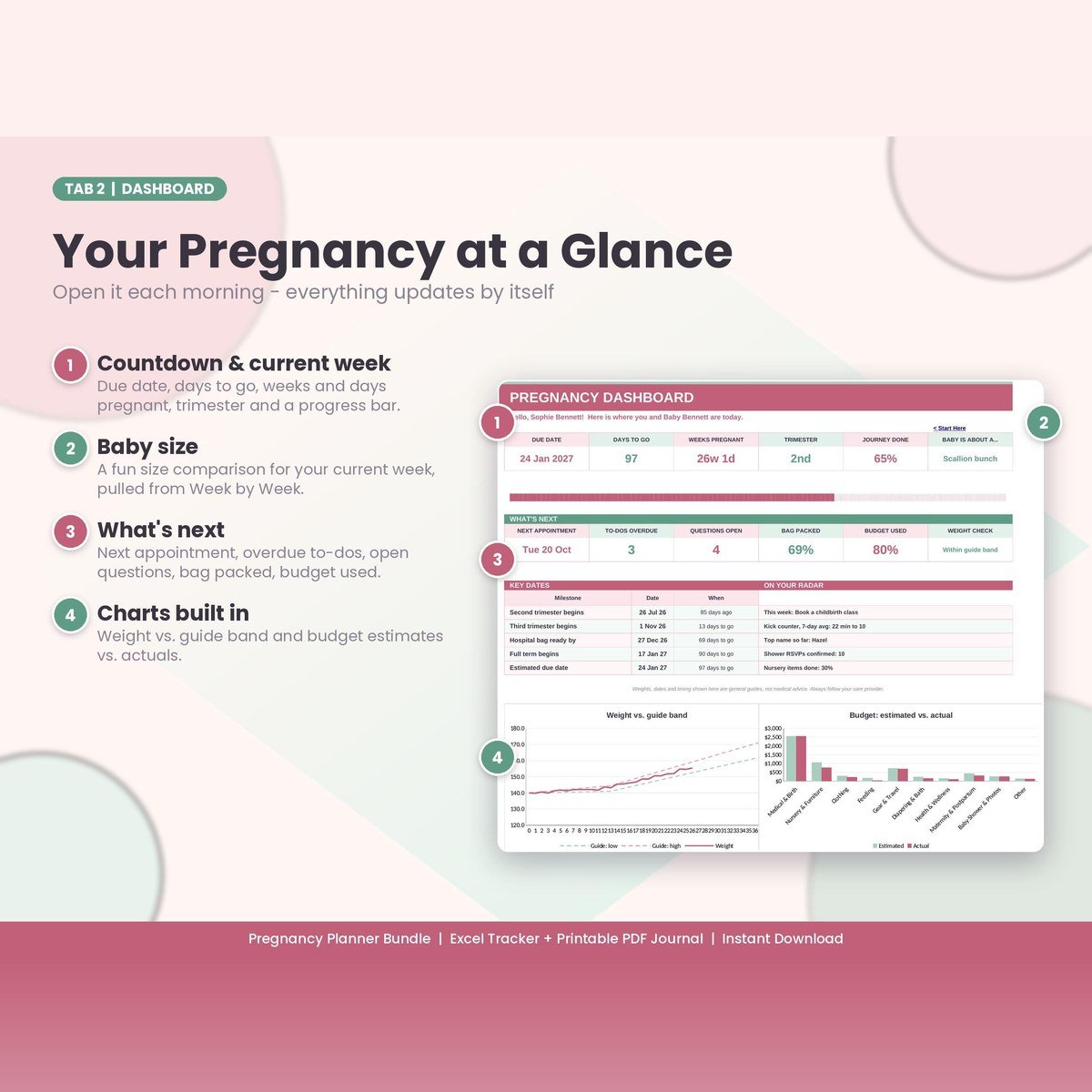 Pregnancy Planner Bundle — Excel tracker and printable journal — $10 — view 2